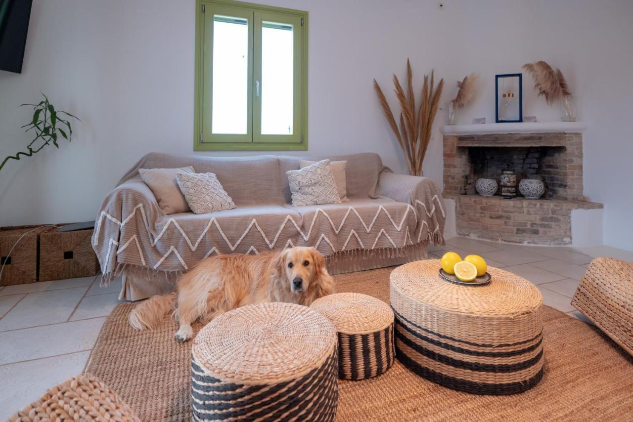 Ventu Paros Villa Márpissa Екстериор снимка